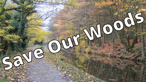 Buck Woods, from the the Canal at Buck Mill Bridge