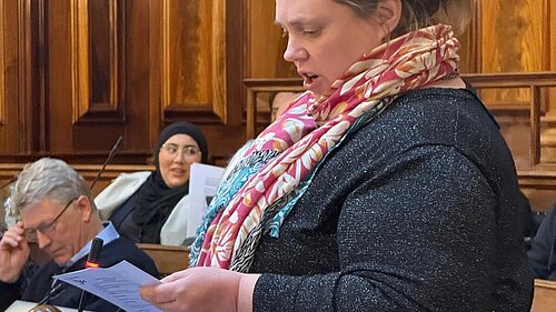 Cllr Naylor addressing the Council Chamber 