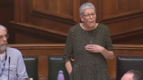 Cllr Jeanette Sunderland speaking in the Council Chamber